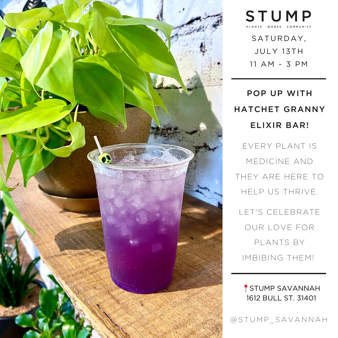 Savannah : Hatchet Granny Elixir Bar Pop Up — STUMP PLANTS · WARES